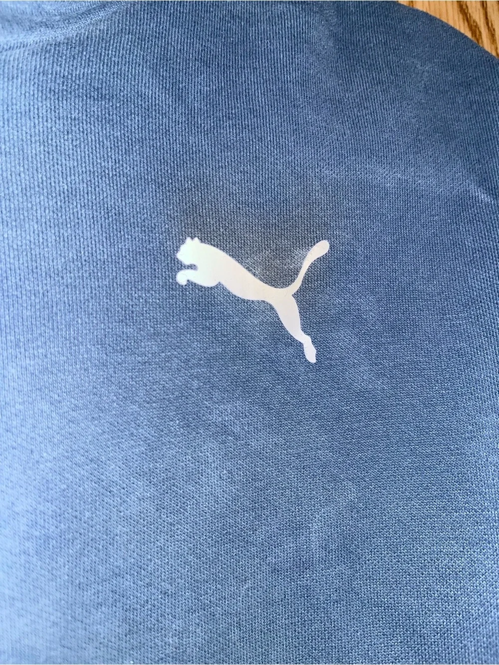 Puma Men's Slate Blue Pullover Hoodie with Script Tape Sleeve